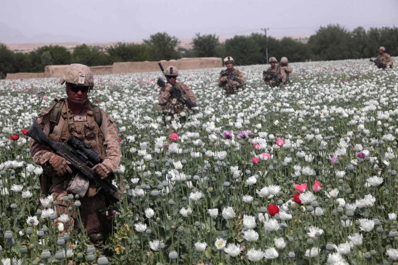 Binh sĩ Mỹ đi qua một cánh đồng thuốc phiện ở Afghanistan (Ảnh: Military)