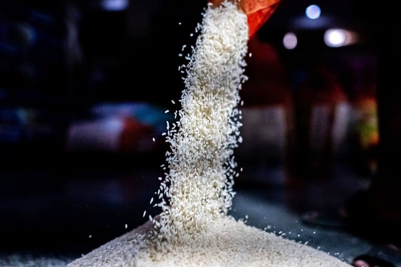 Giá gạo ở châu Á tăng do lo ngại về nguồn cung khi nhà xuất khẩu hàng đầu Ấn Độ thực hiện nhiều hạn chế hơn (Ảnh: Bloomberg)