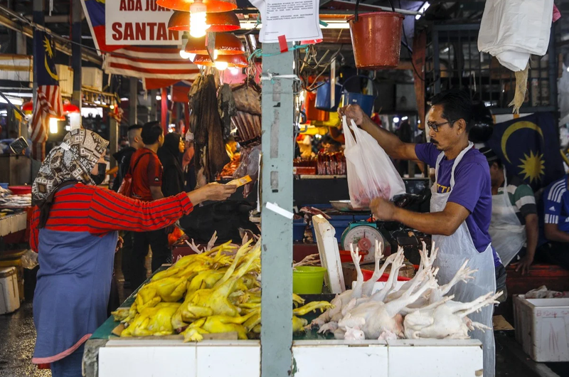 Một người dân mua gà tại chợ tươi sống ở Kuala Lumpur, Malaysia (Ảnh: EPA)