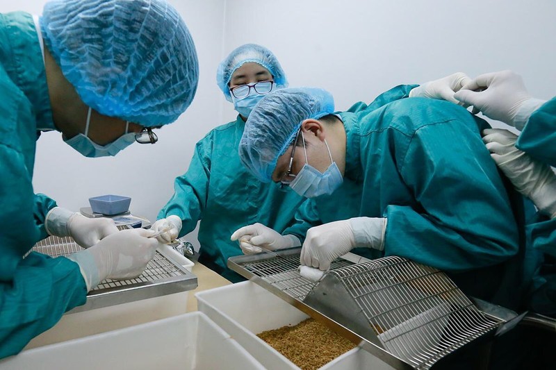 Nghiên cứu vaccine phòng chống Covid-19 tại Việt Nam