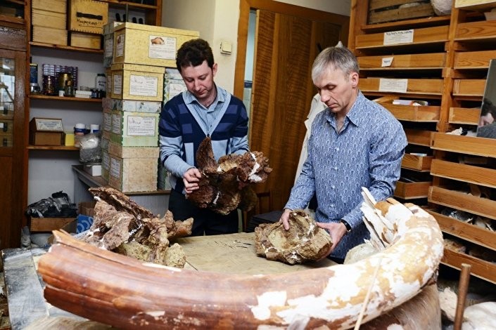 Các nhà khoa học Nga tìm thấy loài khủng long mới ở Kemerovo,Siberia
