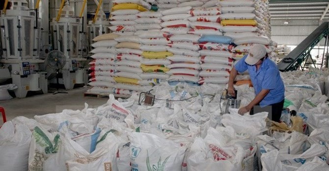 Chế biến gạo xuất khẩu tại Xí nghiệp chế biến lương thực cao cấp Tân Túc, Bình Chánh, TP. Hồ Chí Minh