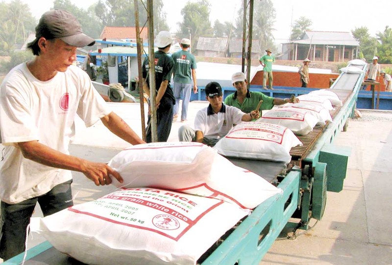 Việt Nam, Thái Lan bị Philippines đánh rớt thầu cung cấp gạo