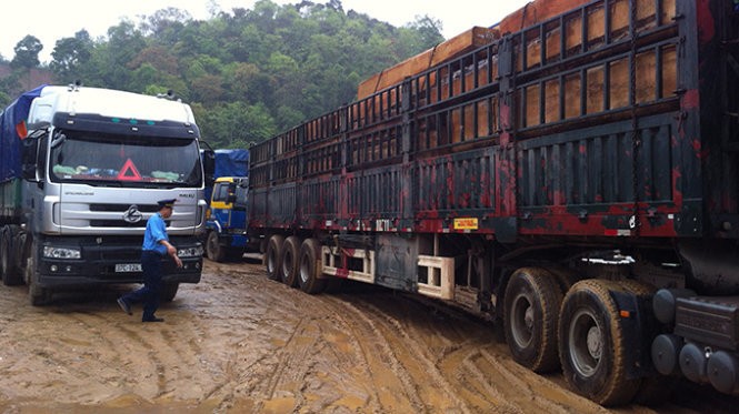 Xe chở gỗ quá tải bị chặn bắt ở Nghệ An