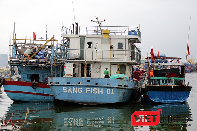 Tàu cá Sang Fish 01 neo đậu hơn 1 năm nay ở âu thuyền Thọ Quang chờ trả lại nơi sản xuất