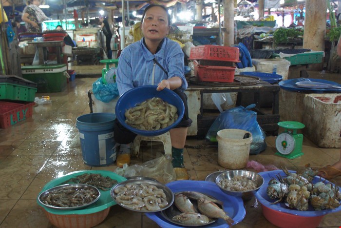 Hà Tĩnh: Hàm lượng kim loại nặng trong hải sản ở ngưỡng cho phép