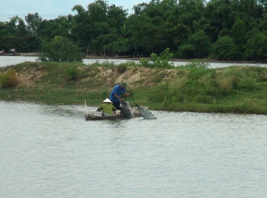Người nuôi trồng thủy hải sản ở thôn Cồn Nâm (xã Quảng Minh) điêu đứng sau vụ cá chết