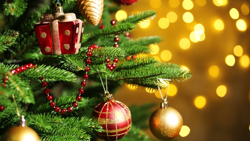 Nước Đức là nơi đầu tiên bắt đầu phong trào trang trí cây thông trong ngày lễ Giáng sinh. Nguồn: Today
