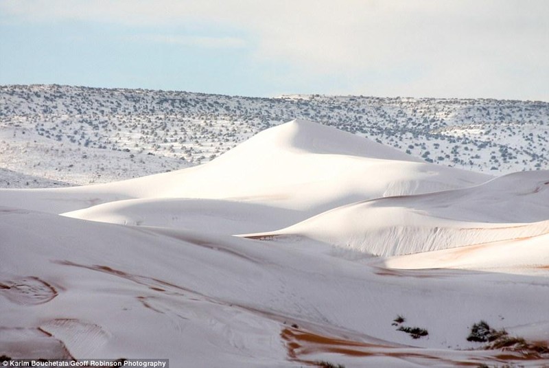 Tuyết phủ trắng một vùng sa mạc Sahara (Ảnh: Daily Mail)