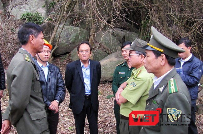 Cơ quan chức năng Đà Nẵng lại phát hiện thêm một vụ phá rừng nghiêm trọng tại Khu bảo tồn thiên nhiên Sơn Trà