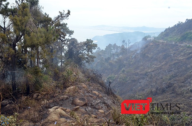 Vào khoảng 12h30 trưa ngày 19/8, tiểu khu 4A rừng Nam Hải Vân (quận Liên Chiểu, TP Đà Nẵng) tiếp tục xảy ra vụ cháy rừng
