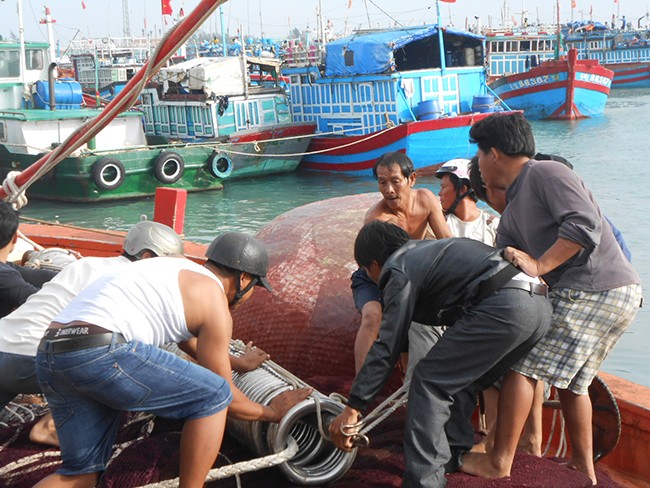 Ngư dân Lý Sơn phần khởi chuẩn bị ngưu lưới cụ để mở biển đầu năm