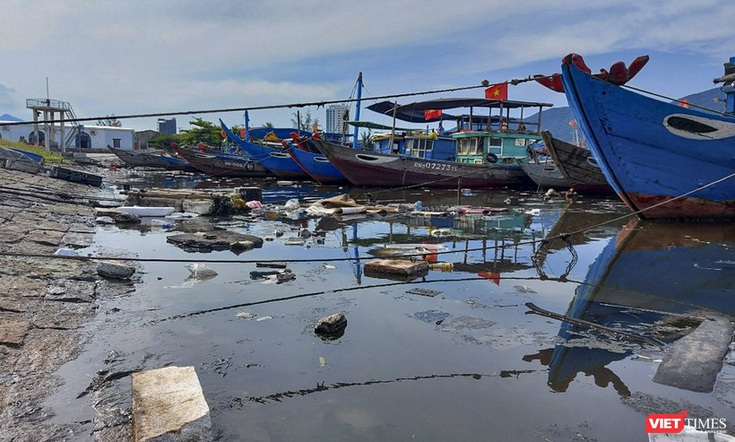 Một góc âu thuyền Thọ Quang (Đà Nẵng) bị rác thải tấn công