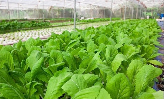 10 trải nghiệm mà những đứa trẻ sinh năm 2018 sẽ không bao giờ có được ảnh 7 10 trải nghiệm mà những đứa trẻ sinh năm 2018 sẽ không bao giờ có được ảnh 7