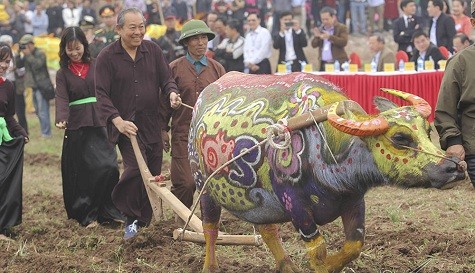 Phó Thủ tướng Thường trực Trương Hòa Bình xuống đồng cày Tịch điền ngày đầu năm mới Xuân Kỷ Hợi (Ảnh: VGP)