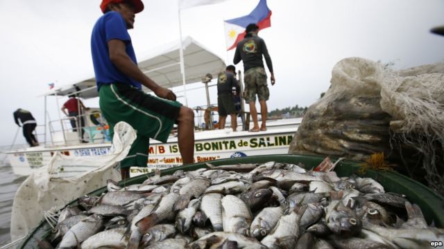 Ngư dân Philippines đứng bên cạnh các xô đầy cá chết ở thị trấn Rosario, tỉnh Cavite, phía nam Manila, Philippines. Nhóm KAI cáo buộc rằng họ đã tìm thấy bằng chứng các tàu đánh cá Trung Quốc đổ hóa chất xuống biển gần quần đảo Trường Sa để gây hại đến ng