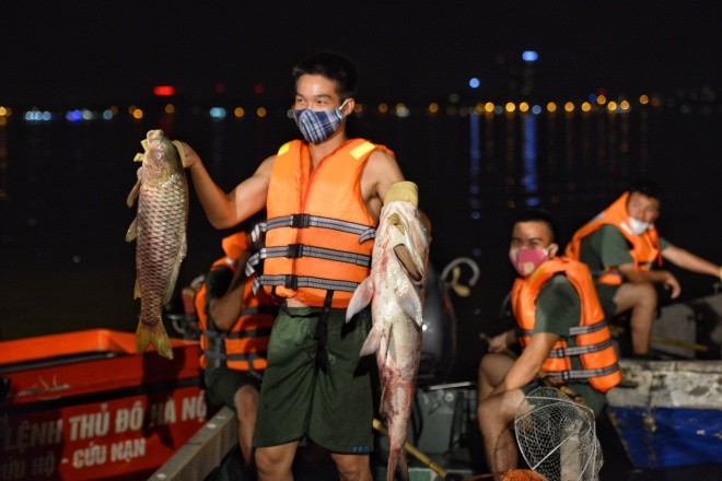Cá chết hàng loạt ở Hồ Tây khiến Hà Nội phải huy động các lực lượng vớt cá chết xuyên đêm