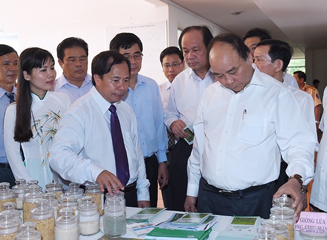 Thủ tướng Chính phủ Nguyễn Xuân Phúc tới thăm và làm việc với lãnh đạo, cán bộ của Viện lúa Đồng bằng sông Cửu Long.