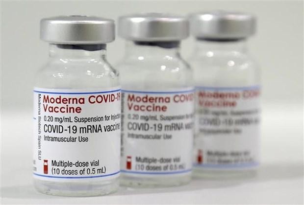 Vaccine moderna (Ảnh - RT) 