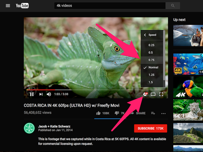 Các mẹo sử dụng Youtube có thể bạn chưa biết ảnh 5 Các mẹo sử dụng Youtube có thể bạn chưa biết ảnh 5