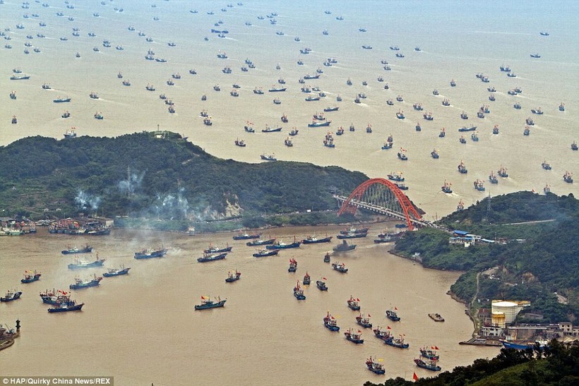 Hàng ngàn tàu cá Trung Quốc tập kết tại một cảng biển để chuẩn bị ra khơi. (ảnh minh họa).