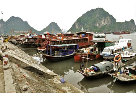 Vân Đồn có cơ chế đặc biệt để phát triển