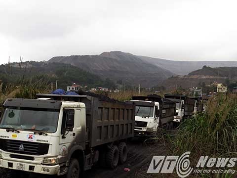 Đoàn xe chở than lậu bị lực lượng chức năng TP Hạ Long bắt giữ rạng sáng ngày 3/3 vừa qua