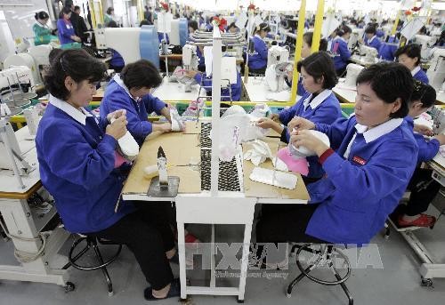 Công nhân Triều Tiên làm việc tại nhà máy sản xuất giầy của Hàn Quốc ở khu công nghiệp chung Kaesong. Ảnh: AFP/TTXVN