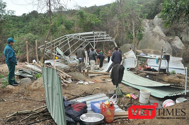 Lực lượng chức năng tháo dỡ lán trại xây dựng trái phép tại khu bảo tồn thiên nhiên Sơn Trà