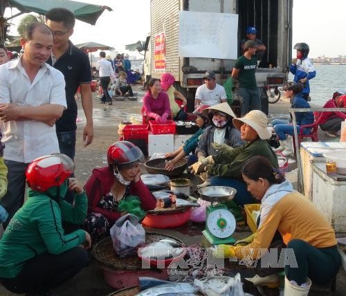 Người dân mua cá đã được kiểm định tại chợ Đồng Hới (TP Đồng Hới, Quảng Bình). Ảnh: Đức Thọ/TTXVN
