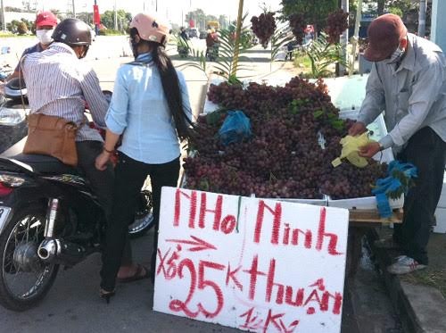 Nhập cả 100 tấn nho Trung Quốc mỗi ngày nhưng lạ là, trên thị trường chỉ thấy bán nho Ninh Thuận