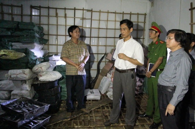 Lãnh đạo các ngành y tế, nông nghiệp ở Quảng Trị kiểm tra lô cá nục bị nhiễm phenol chiều 11-6 - Ảnh: Quốc Nam