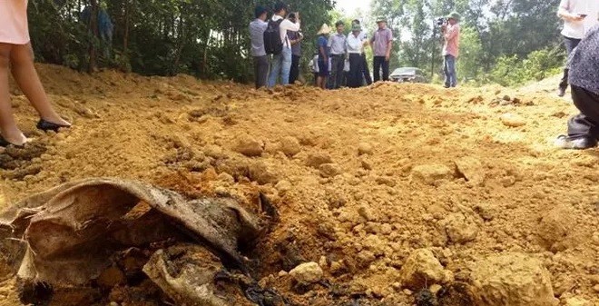 Phát hiện 200 tấn bùn thải trong KCN Formosa Đồng Nai. Ảnh: Infonet
