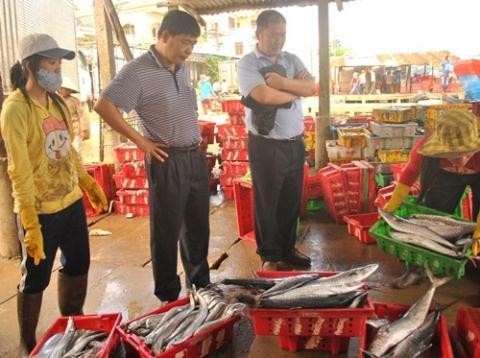 Trương lái Trung Quốc đến tận nơi thu mua cá Việt Nam