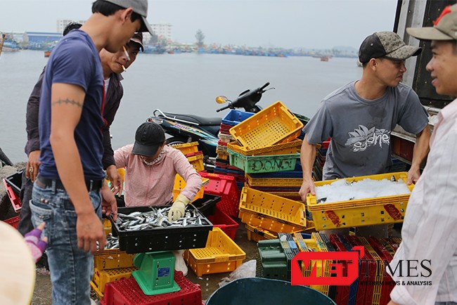 Hội nghề cá yêu cầu sớm xây dựng bản đồ đánh bắt cá ở miền Trung từ Hà Tĩnh đến Thừa Thiên-Huế