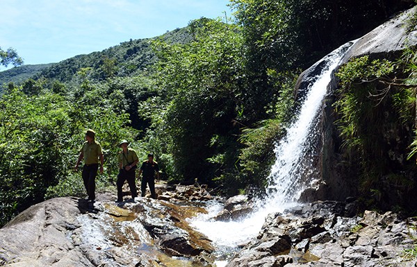 Quảng Nam sẽ nâng hạng Khu bảo tồn thiên nhiên sông Thanh lên Vườn quốc gia
