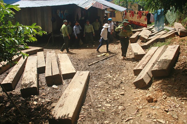 Vụ án phá rừng ở rừng phòng hộ Sông Tranh (Bắc Trà My,Quảng Nam) thời ông Đoàn Tất Chẩn làm giám đốc Ban quản lý rừng