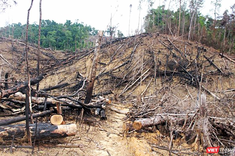 Tình trạng phá rừng liên tiếp xảy ra trên địa bàn tỉnh Quảng Nam khiến cử tri bức xúc, yêu cầu lãnh đạo giải trình, làm rõ