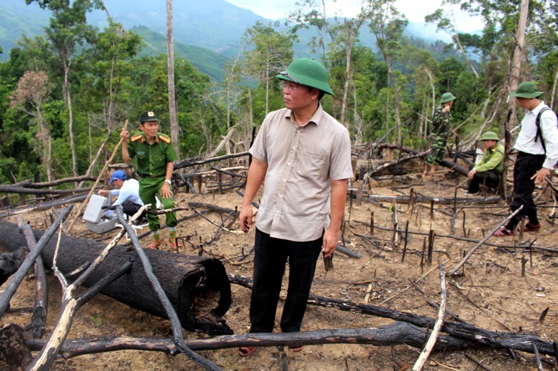 Lãnh đạo UBND tỉnh Quảng Nam đi kiểm tra hiện trường vụ phá rừng