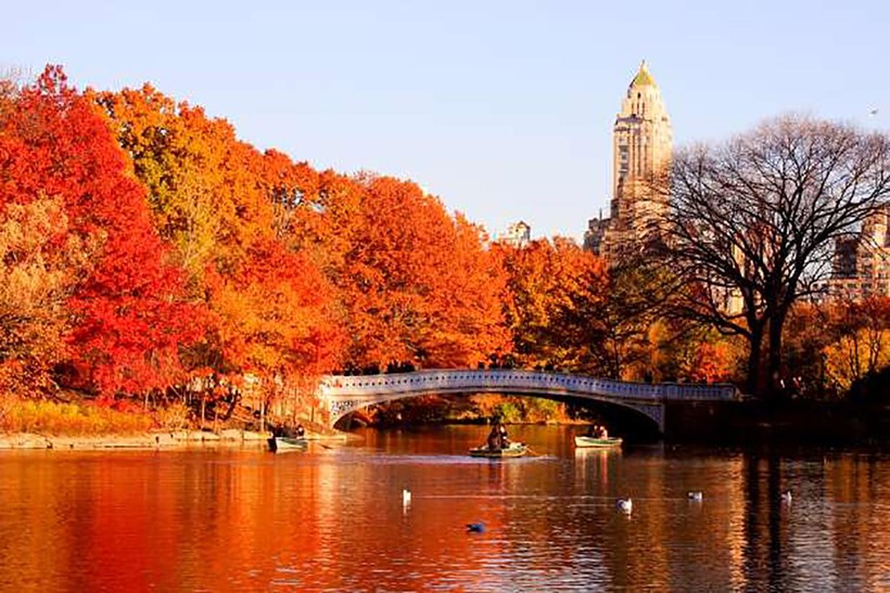 Công viên Central Park, Thành phố New York, Hoa Kỳ nhuốm màu vào thu (ảnh Adam Jeffery Photography)