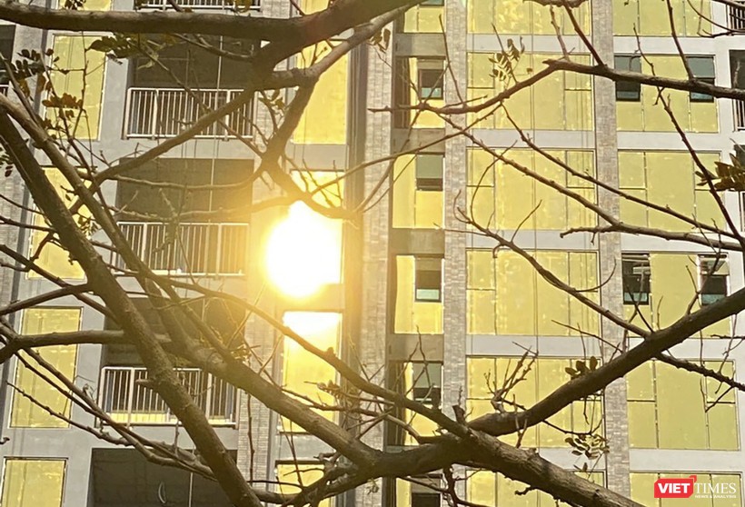 Mặc dù có cây xanh, nhưng vẫn không ngăn được ánh sáng phản chiếu cường độ cao từ công trình Risemount Apartment Đà Nẵng đến dân cư xung quanh