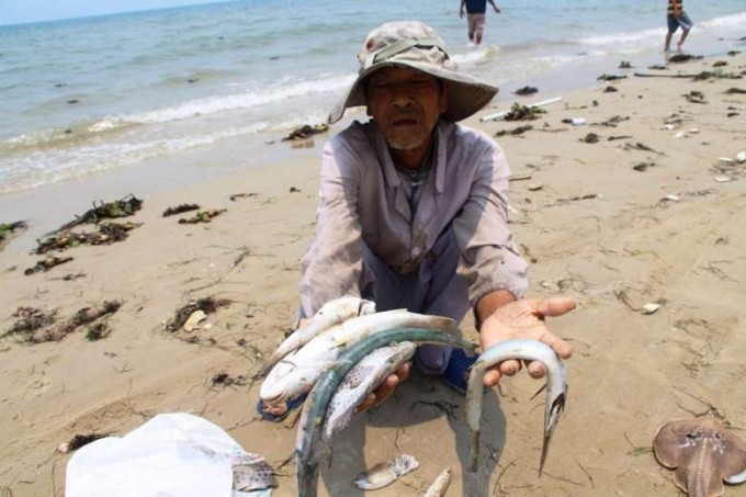 Ngư dân bị thiệt hại nặng nề sau sự cố cá chết 4 tỉnh miền Trung.