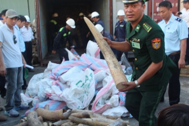 Buổi tiêu hủy sẽ diễn ra tại huyện Sóc Sơn, TP Hà Nội.