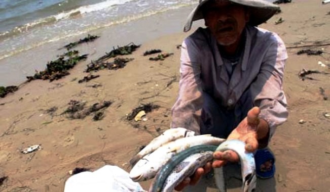 Sự kiện ô nhiễm môi trường 4 tỉnh miền Trung gây thiệt hại nặng nề cho bà con ngư dân.
