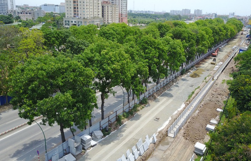 Theo kế hoạch việc chặt, hạ cây xanh 2 bên đường Phạm Văn Đồng trước ngày 30/9.