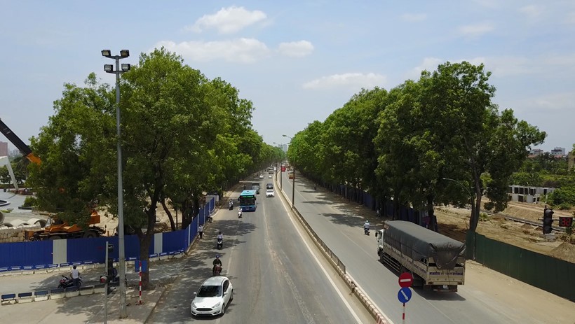 Hà Nội sẽ trồng gấp nhiều lần số cây xanh bị giải tỏa trên đường Phạm Văn Đồng.