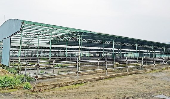 Một góc trại chăn nuôi bò của dự án chăn nuôi bò giống và bò thịt tại Hà Tĩnh do Công ty CP chăn nuôi Bình Hà thực hiện ở địa bàn huyện Kỳ Anh, tỉnh Hà Tĩnh bị bỏ hoang/ Ảnh: sggp.org.vn