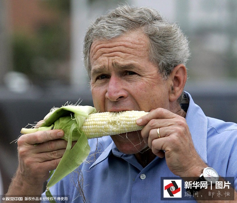Tổng thống Bush con thưởng thức món ngô sống ngon lành