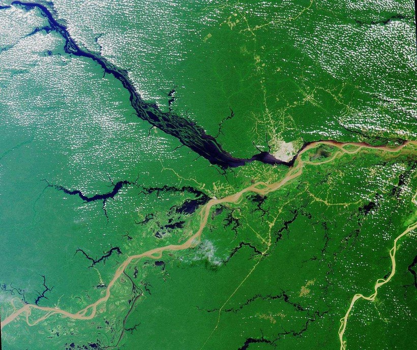 Nằm ở Nam Mỹ, sông Amazon là một trong những dòng sông dài nhất thế giới. Ảnh: Sohu