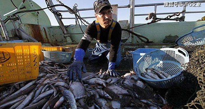 Nhật phát hiện cá nhiễm phóng xạ ở Fukushima. Ảnh: Sohu